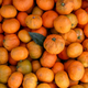 Large pile of oranges